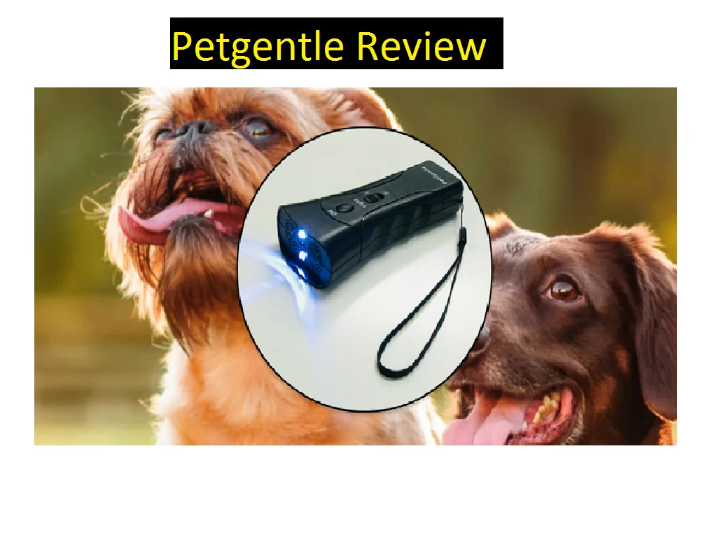 Petgentle Review