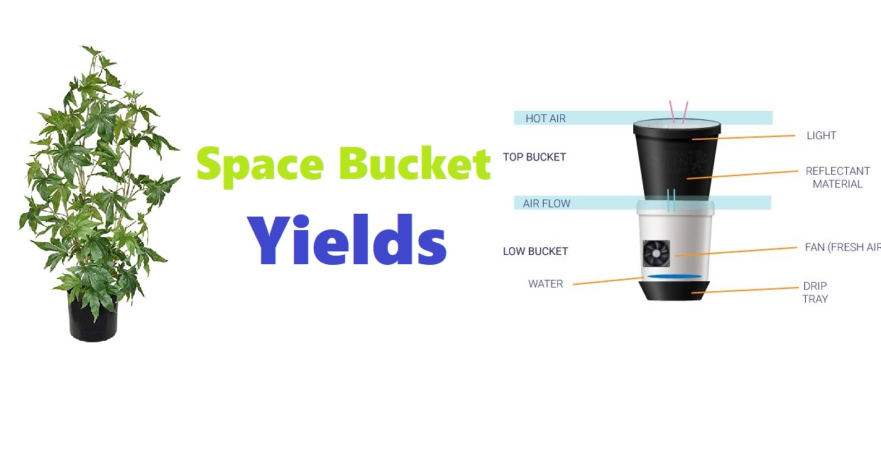Space Bucket Yields