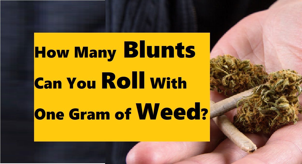 How Many Blunts Can You Roll With One Gram of Weed?