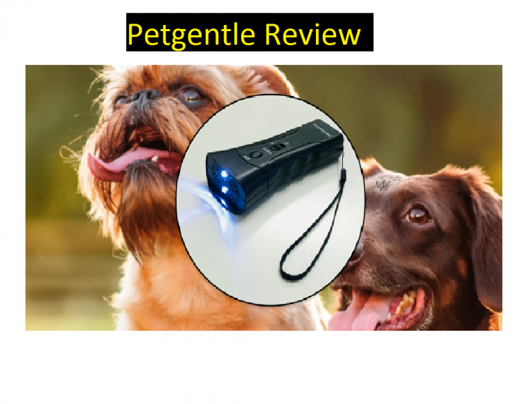 Petgentle Review [2022]: Is Pet Trainer Device the Right Choice for Dog Lovers?