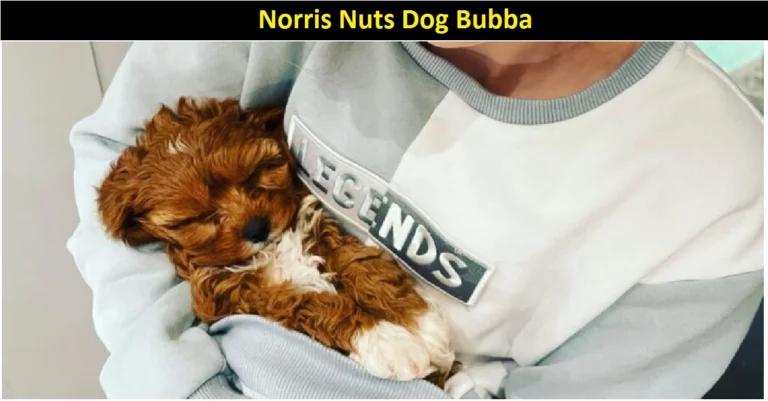Norris Nuts Dog Bubba [2022] Did Bubba Die-Find Here!