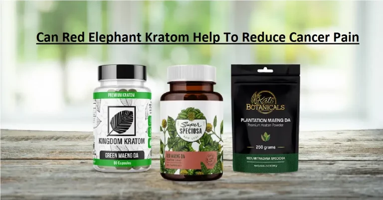 Can Red Elephant Kratom Help To Reduce Cancer Pain?