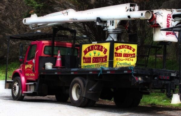 Mencer’s Tree Service: Knoxville’s Trusted Tree Care Professionals
